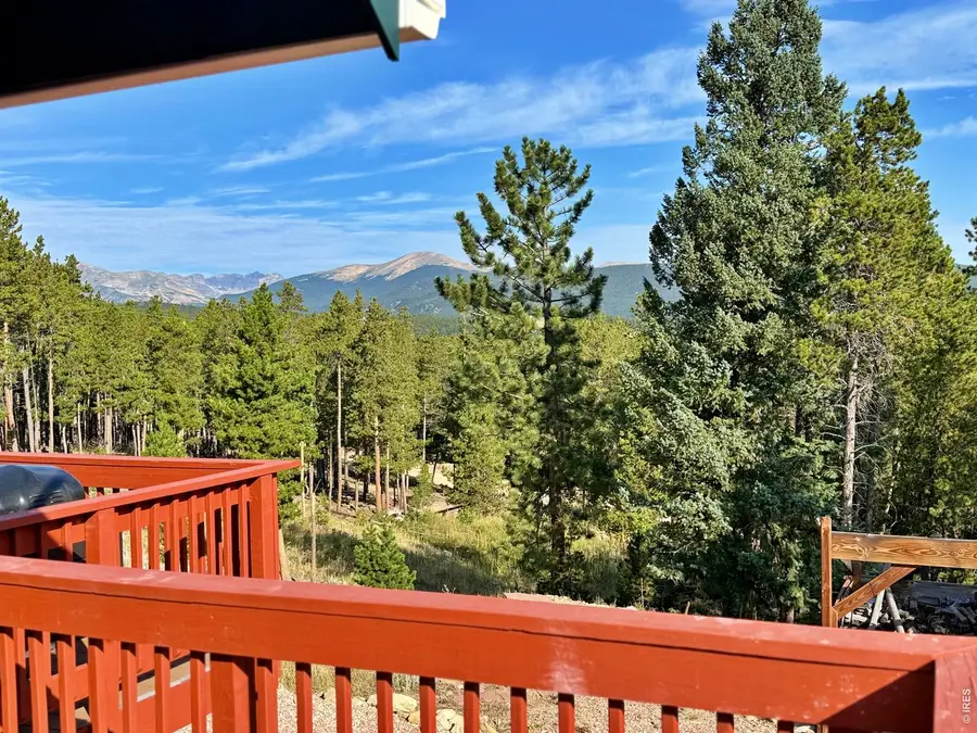 393 Pine Cone Dr, Ward, CO 80481 - #3