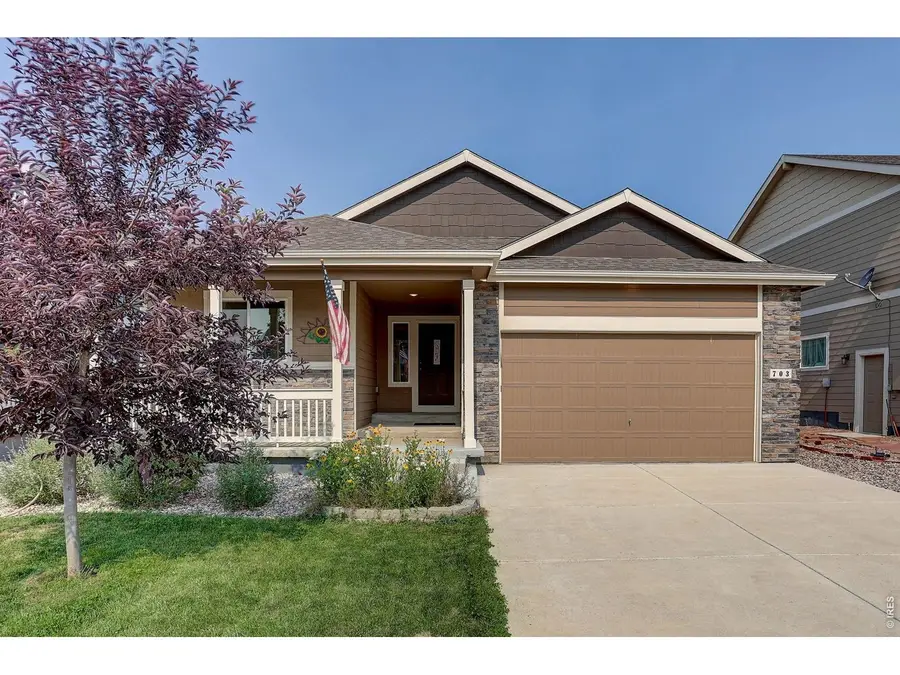 703 Cavern St, Severance, CO 80550 - #2