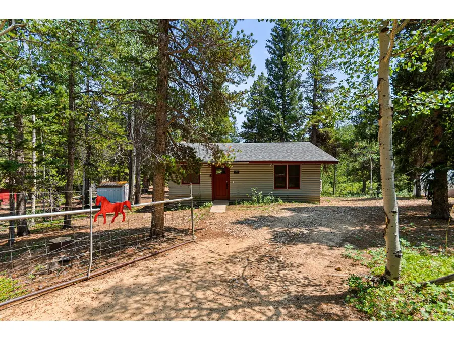 21 Breezewood Ln, Black Hawk, CO 80422 - #3