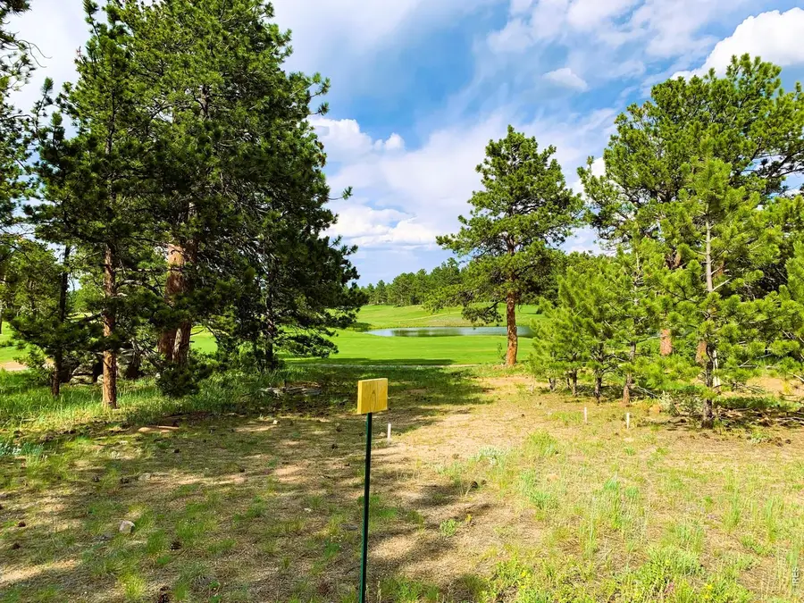 2 Fox Meadow Ln, Red Feather Lakes, CO 80545 - #2