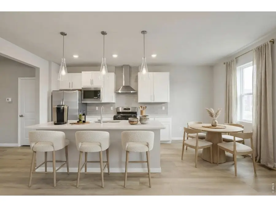 915 Nettle Ln, Fort Collins, CO 80524 - #3