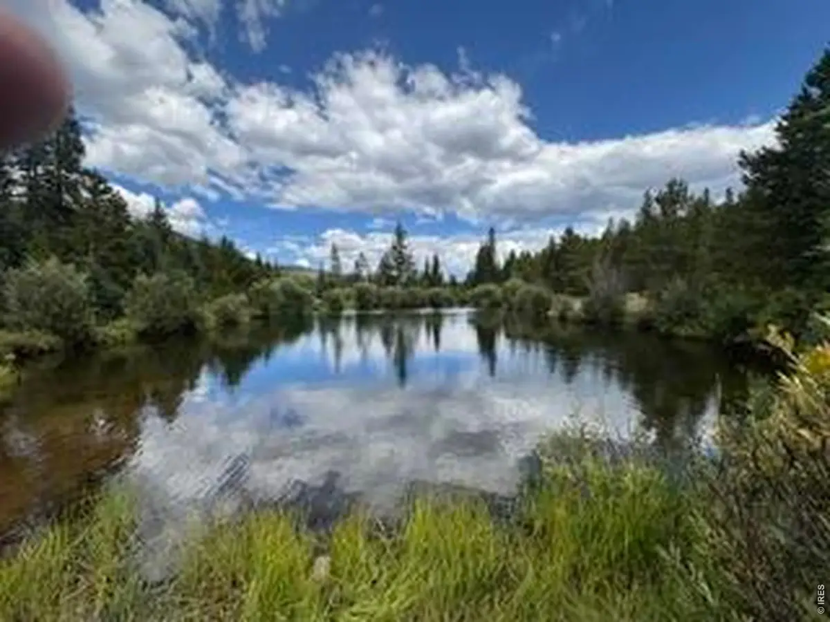142 Mescalero Dr, Red Feather Lakes, CO 80545 - #1