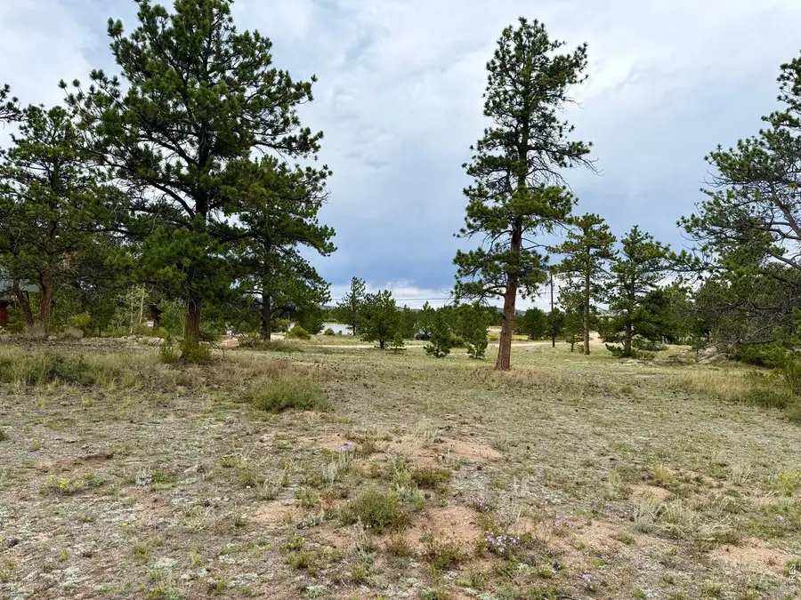 Eagle Tree Cir, Red Feather Lakes, CO 80545 - #3