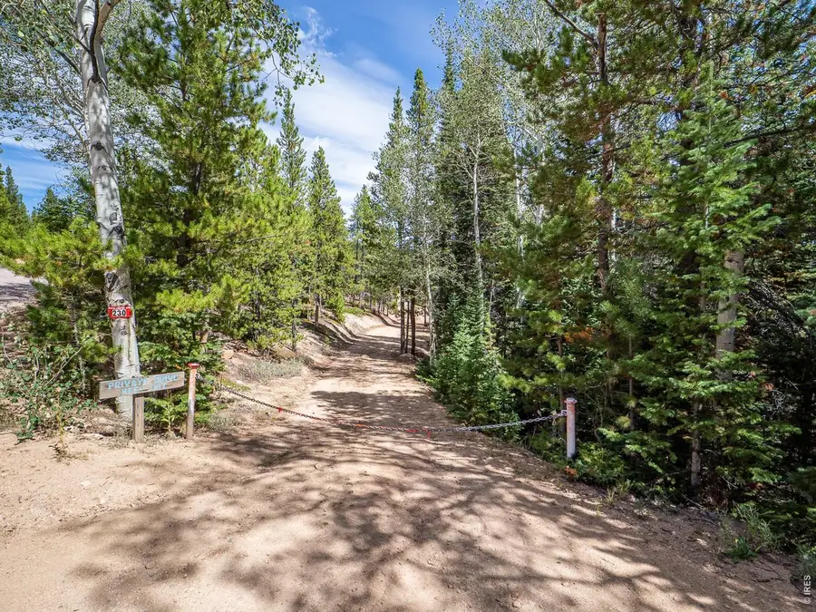 230 Hatchetumi Dr, Red Feather Lakes, CO 80545 - #3