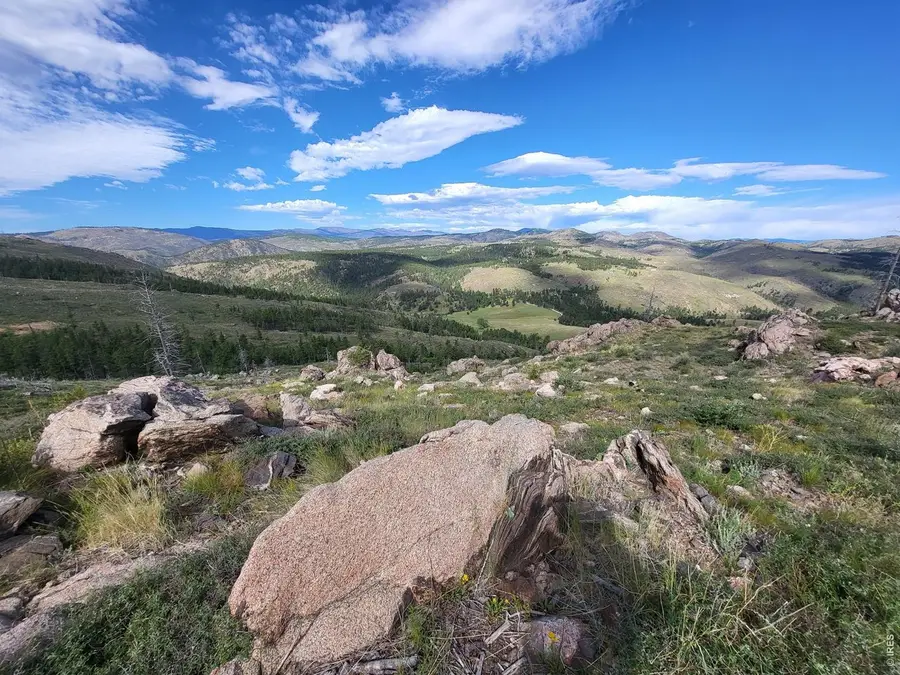 1390 Walking Wind Dr, Bellvue, CO 80512 - #2
