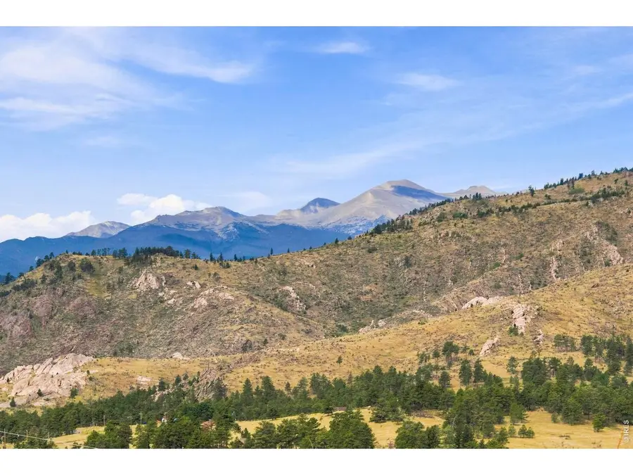 981 Palisade Mountain Dr, Drake, CO 80515 - #3