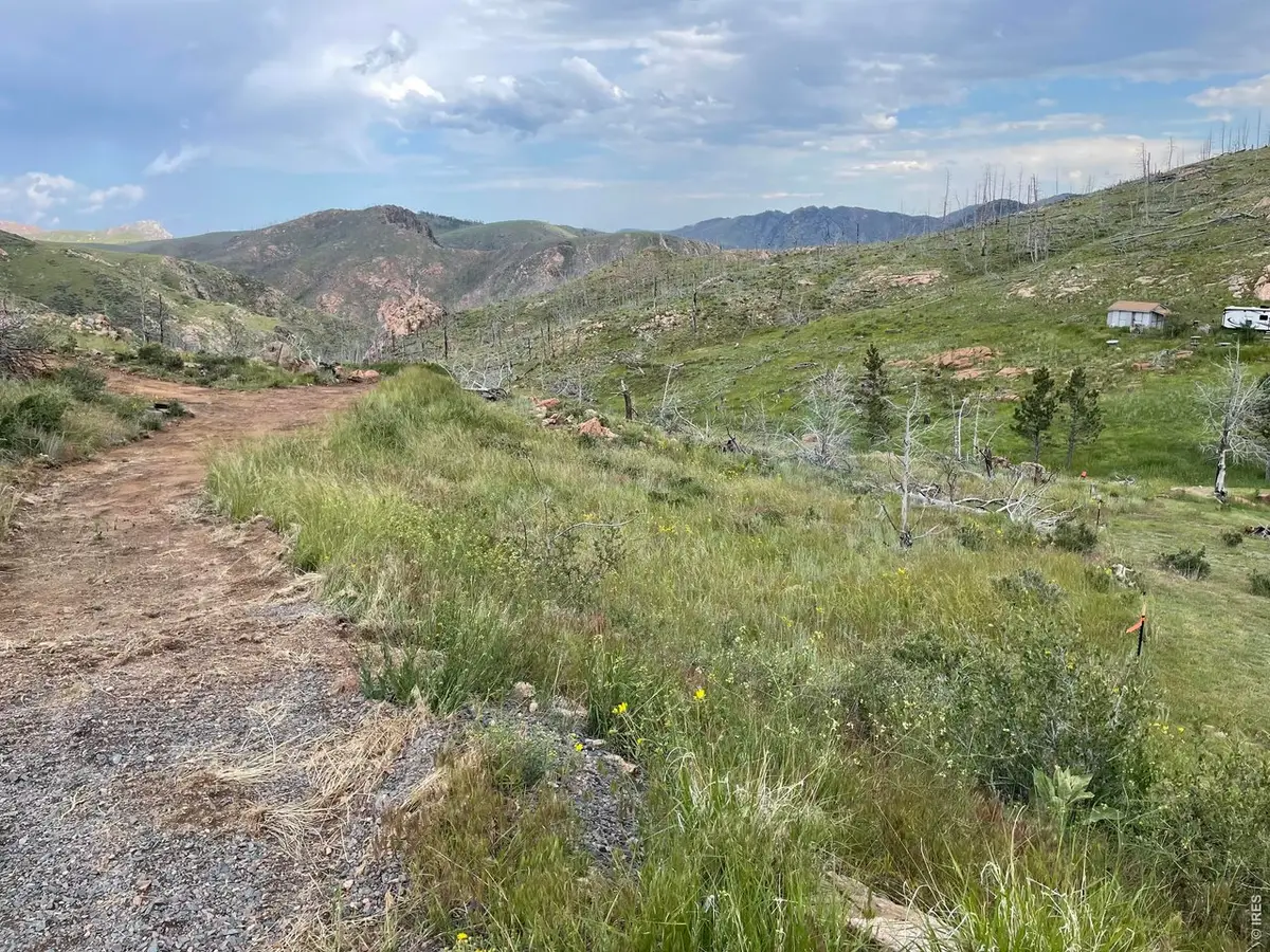 1400 Meadow Mountain Dr, Livermore, CO 80536 - #1