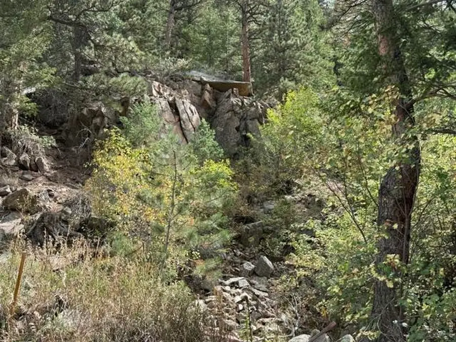 555 Riverside Dr, Lyons, CO 80540 - #2
