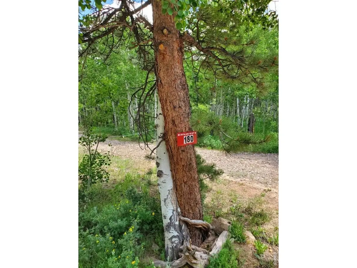 180 Yuki Dr, Red Feather Lakes, CO 80545 - #1