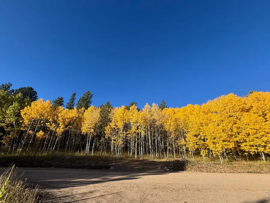 75 Overland Dr, Ward, CO 80481 - #2