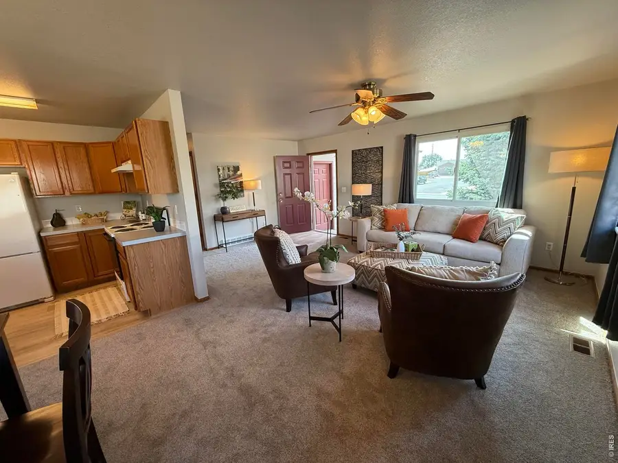 1131 S Olive Ave, Milliken, CO 80543 - #3