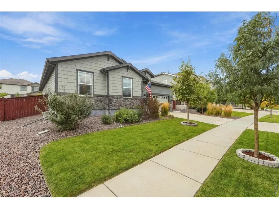 1962 Raindrop Dr, Windsor, CO 80550 - #3
