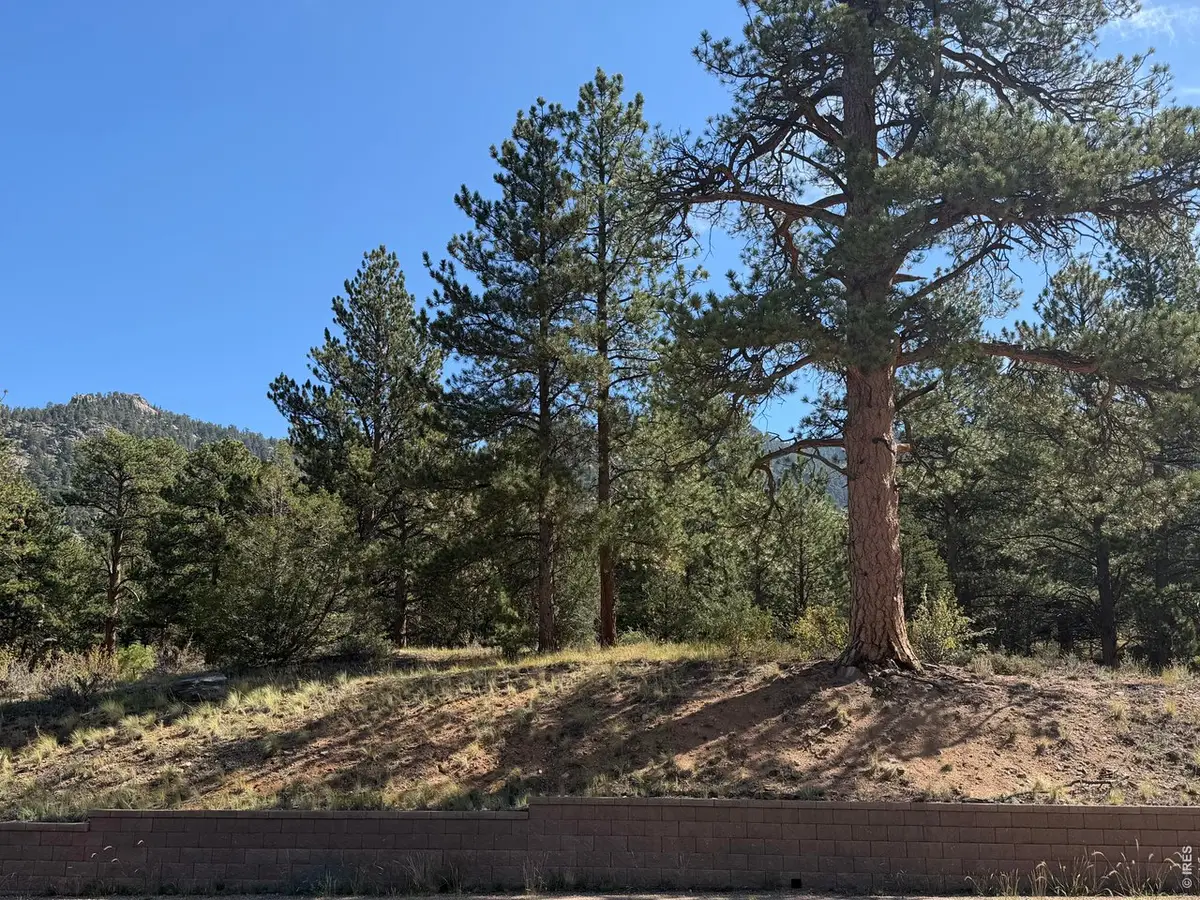 0 Fish Creek Rd, Estes Park, CO 80517 - #1