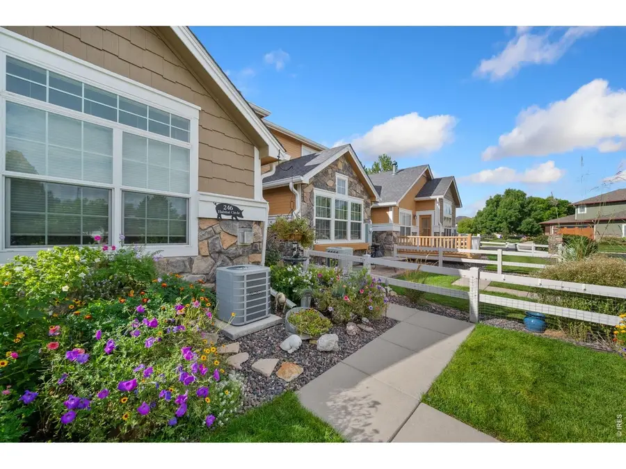 246 Habitat Cir, Windsor, CO 80550 - #2