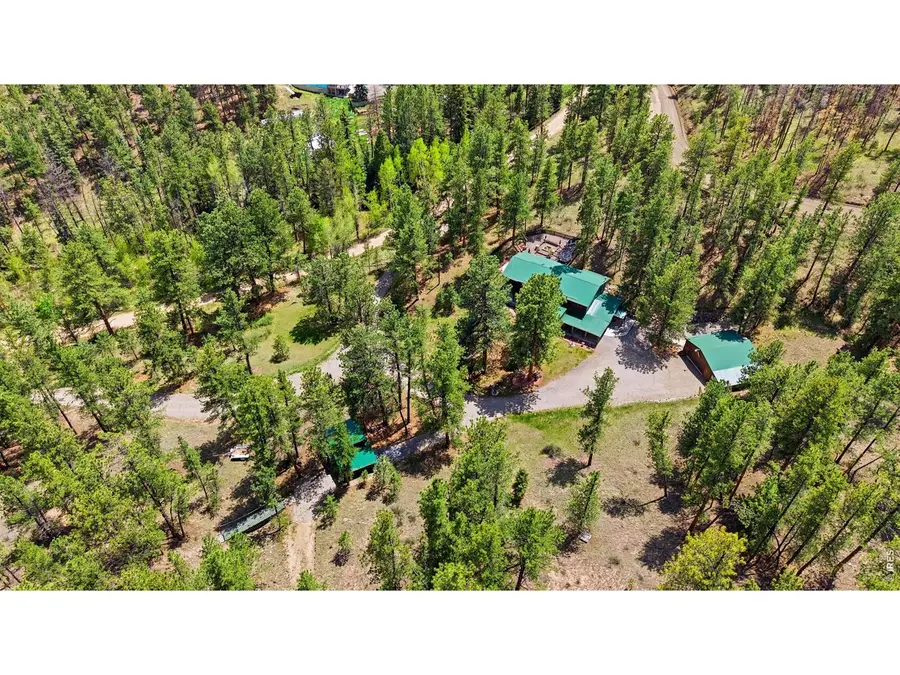 102 Insmont Dr, Bailey, CO 80421 - #2