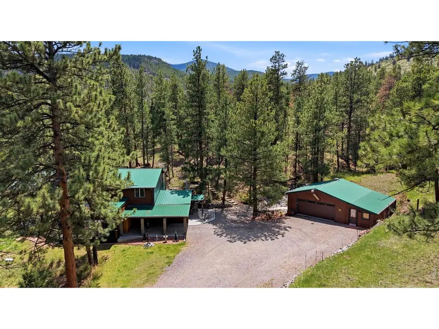 102 Insmont Dr, Bailey, CO 80421 - #3