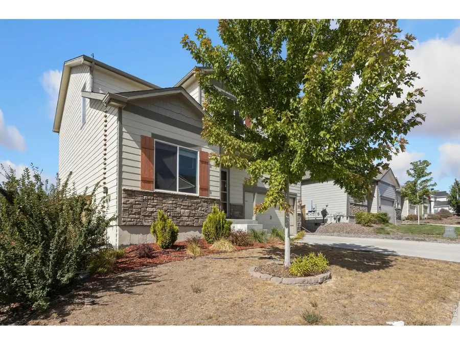 989 Cascade Falls St, Severance, CO 80550 - #3