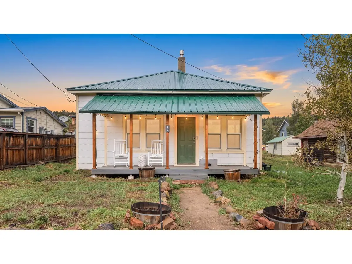 147 E 1st St, Nederland, CO 80466 - #1