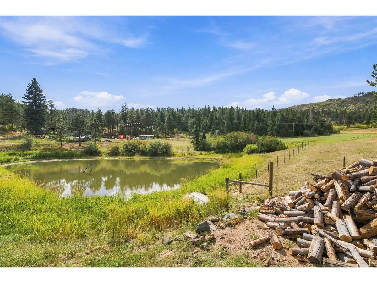 14133 Rist Canyon Rd, Bellvue, CO 80512 - #1
