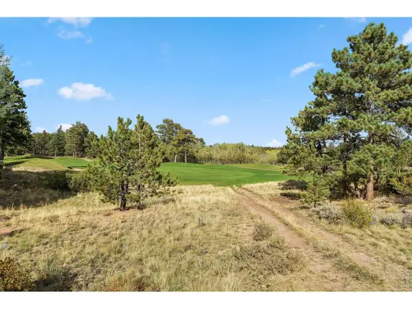 Tbd Juniper Ct, Red Feather Lakes, CO 80545