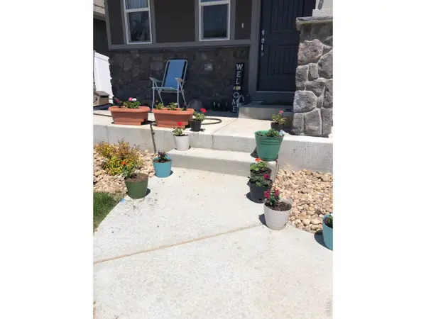 1832 Ruddlesway Dr, Windsor, CO 80550