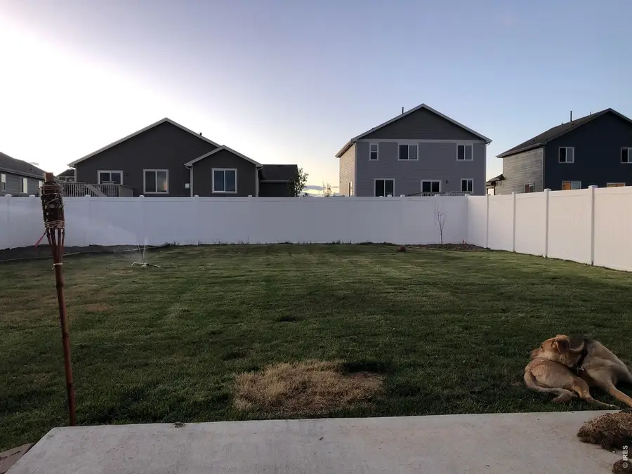 1832 Ruddlesway Dr, Windsor, CO 80550 - #3