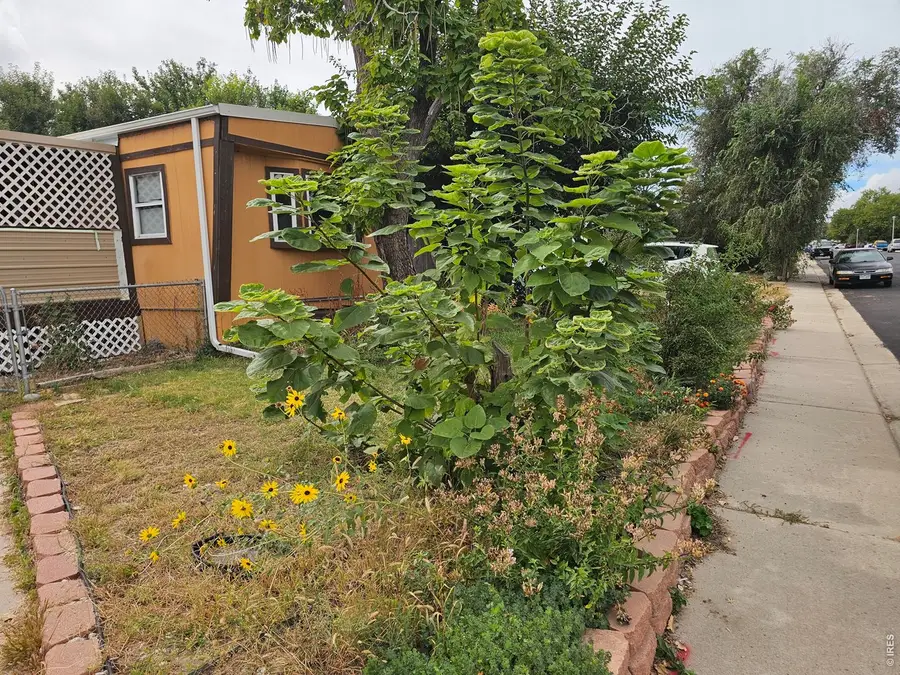 227 Balsam St, Log Lane Village, CO 80705 - #2