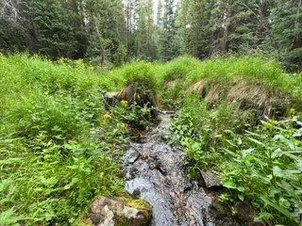 1070 Pearl Creek Rd, Red Feather Lakes, CO 80545