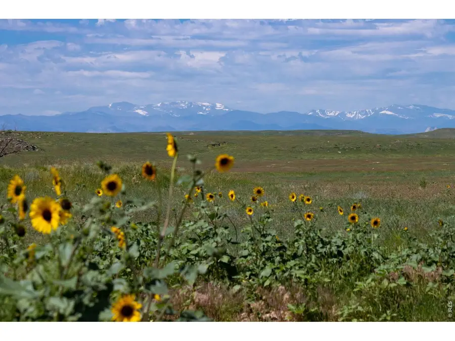 4 Tbd County Road 21, Carr, CO 80612 - #3