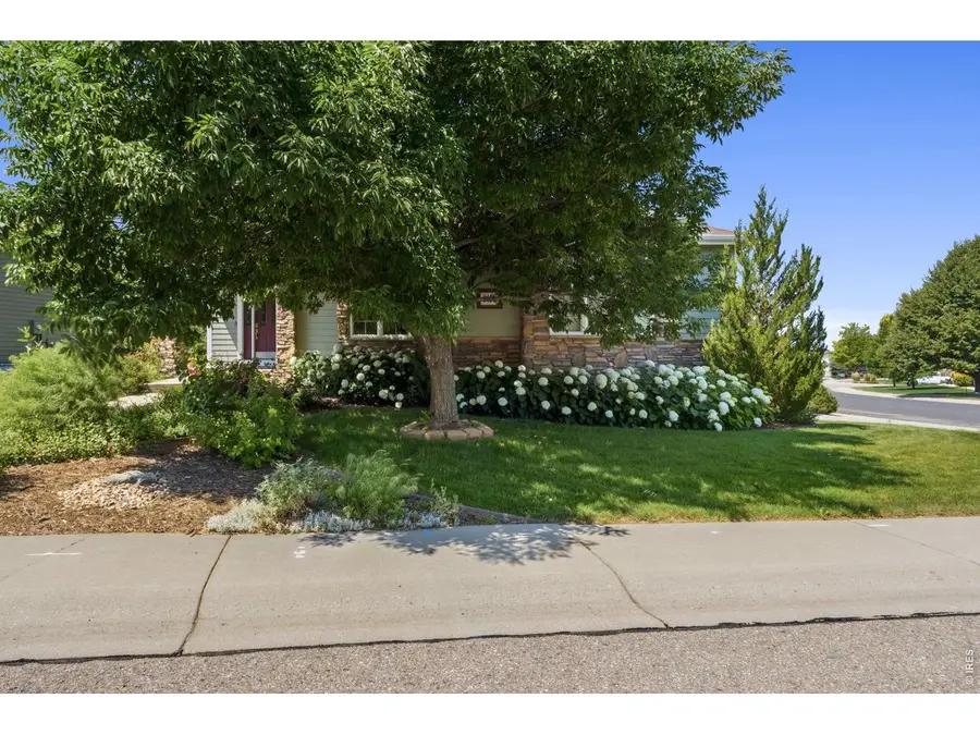 8493 Castaway Dr, Windsor, CO 80528 - #3