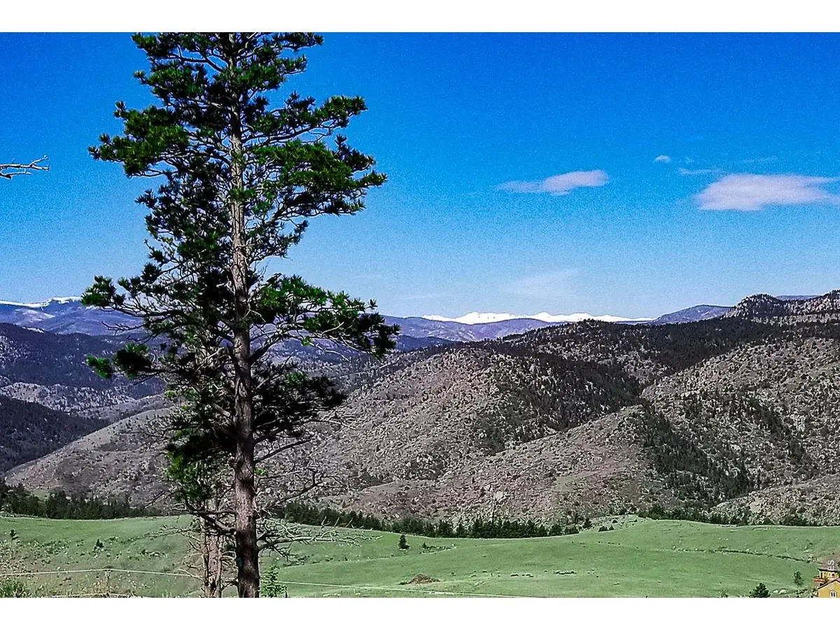 59 Bobcat Mountain Ct, Livermore, CO 80536 - #1