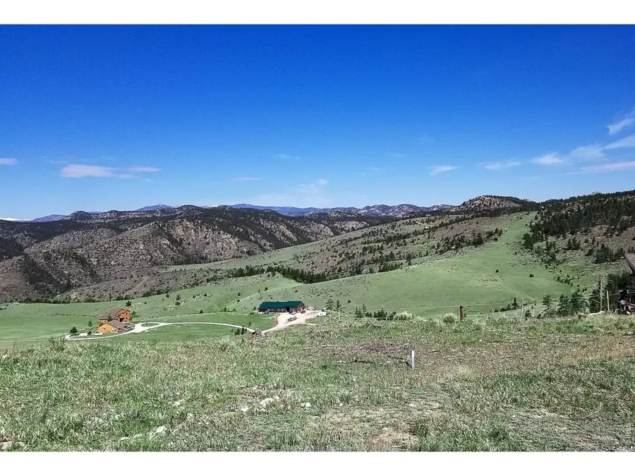 59 Bobcat Mountain Ct, Livermore, CO 80536 - #3