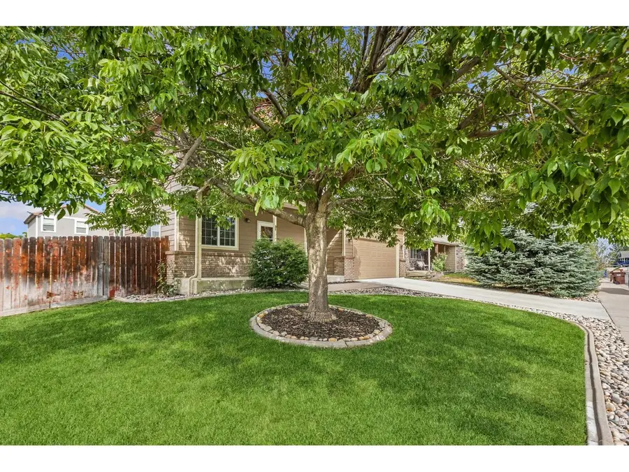 95 Pike Ln, Severance, CO 80550 - #3