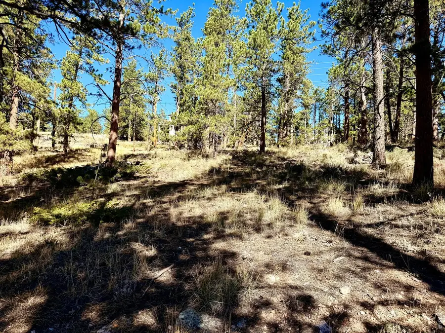 24210 W County Road 74e, Red Feather Lakes, CO 80545 - #3