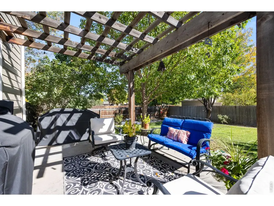 251 Topaz Ct, Windsor, CO 80550 - #3