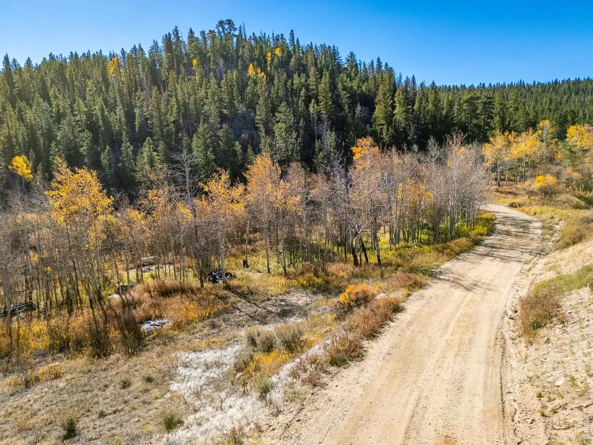 53 Ada Ct, Red Feather Lakes, CO 80545 - #1