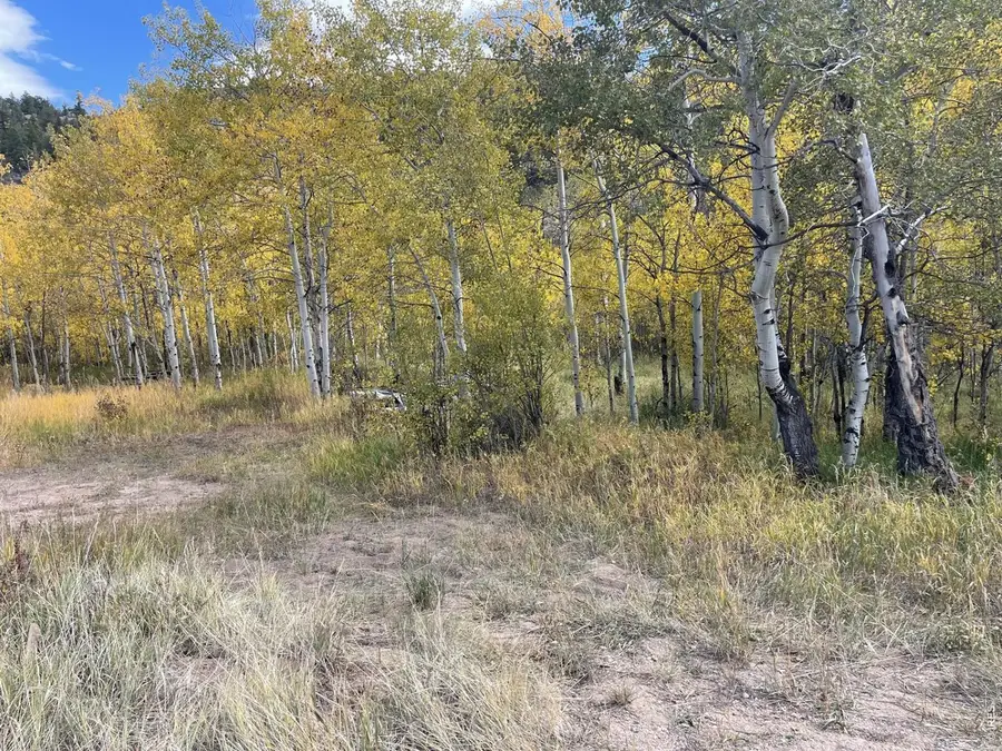 53 Ada Ct, Red Feather Lakes, CO 80545 - #2