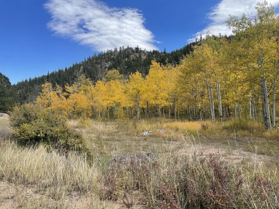 53 Ada Ct, Red Feather Lakes, CO 80545 - #3
