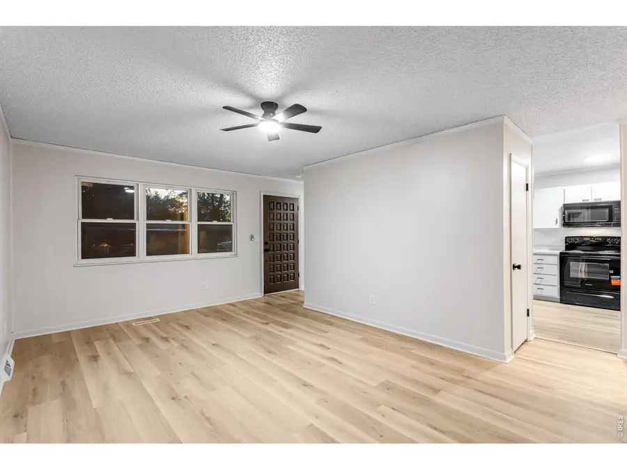 541 10th St, Windsor, CO 80550 - #3