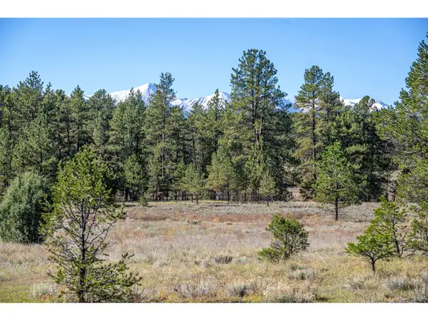 1563 19th Trl, Cotopaxi, CO 81223