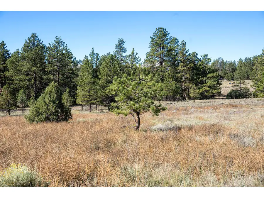 1563 19th Trl, Cotopaxi, CO 81223 - #2