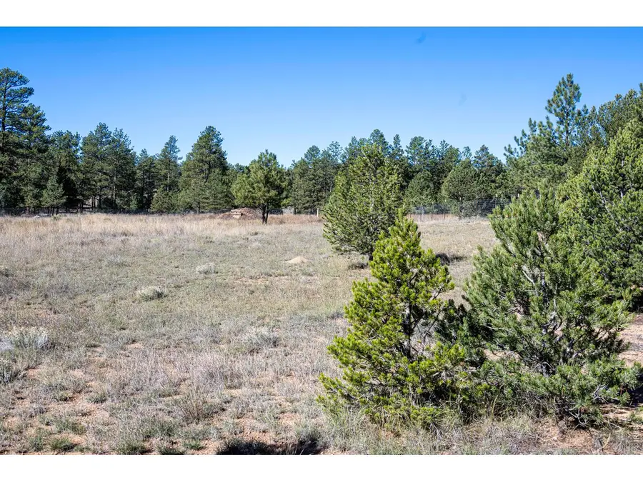 1563 19th Trl, Cotopaxi, CO 81223 - #3
