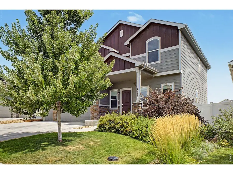 4689 Waltham Dr, Windsor, CO 80550 - #3