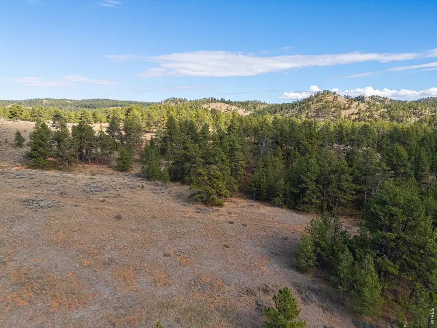 8 Spring Trl, Livermore, CO 80536 - #2