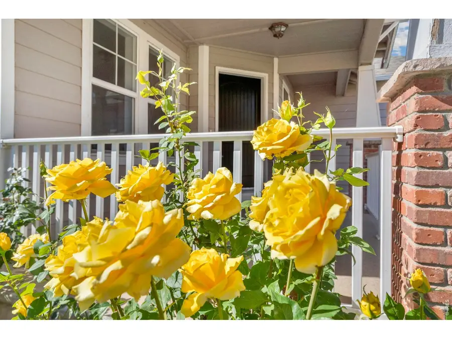 1398 Warbler St, Loveland, CO 80537 - #2