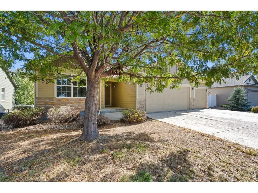 16228 Cinnamon Cir, Mead, CO 80542 - #3