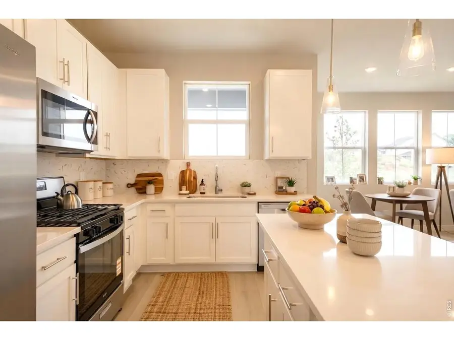 909 Nettle Ln, Fort Collins, CO 80524 - #3