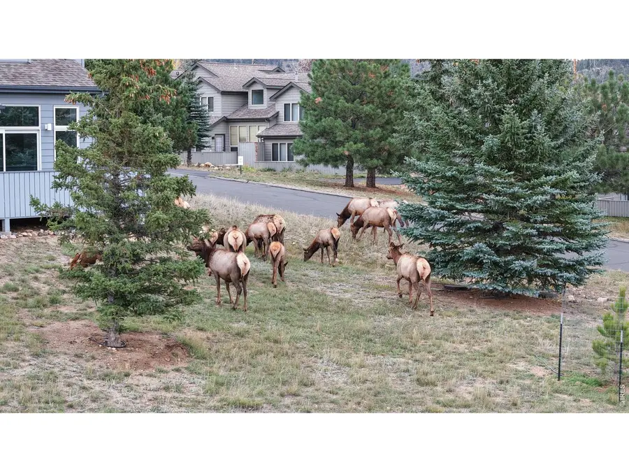 1555 Raven Cir #C, Estes Park, CO 80517 - #2