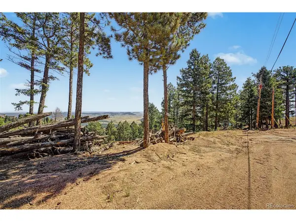 2199 Badger Dr, Larkspur, CO 80118