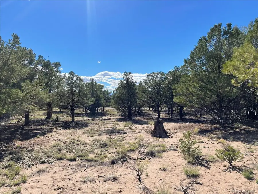 178 Moonlight Way, Crestone, CO 81131 - #2